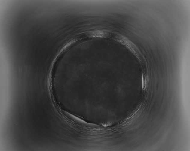 X0000097820531200803201439