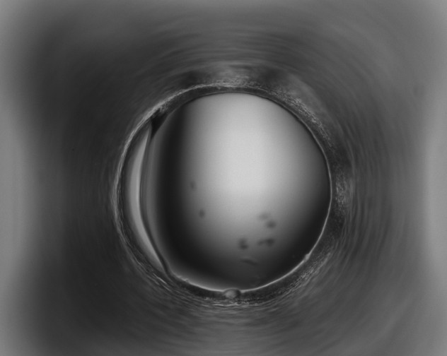 X0000097820532200803201439