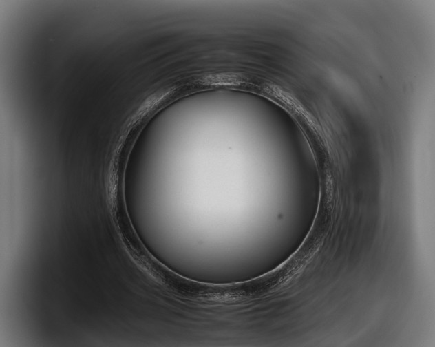 X0000097820533200803201439