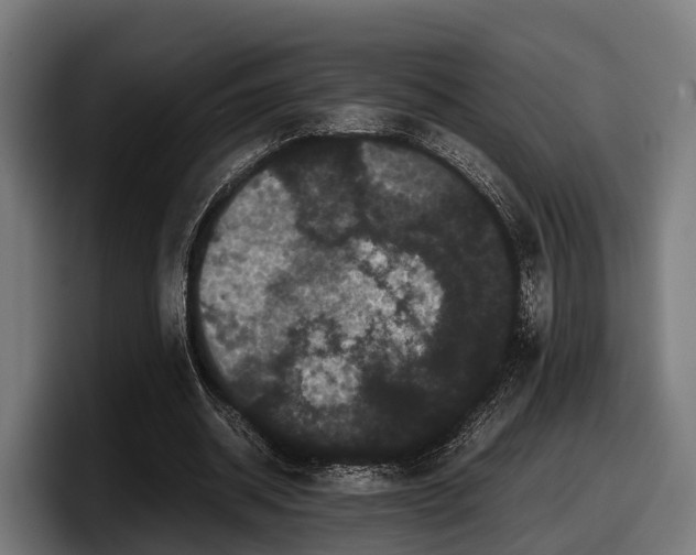 X0000097820534200803201439