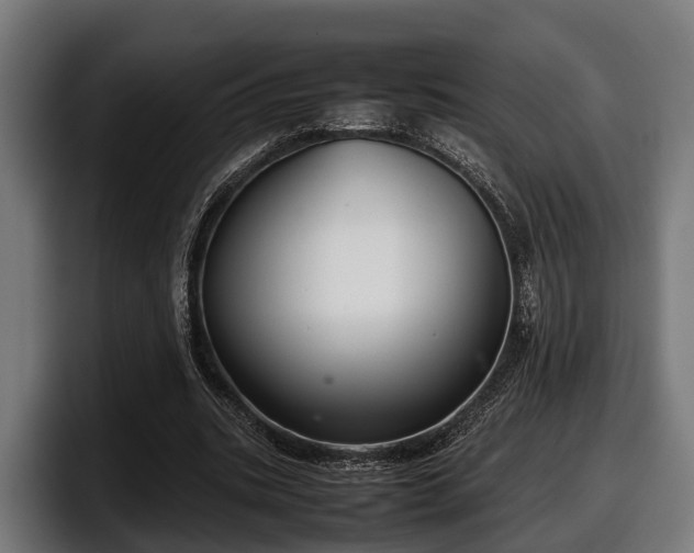 X0000097820535200803201439