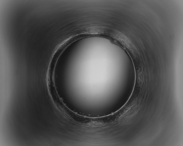 X0000097820536200803201439