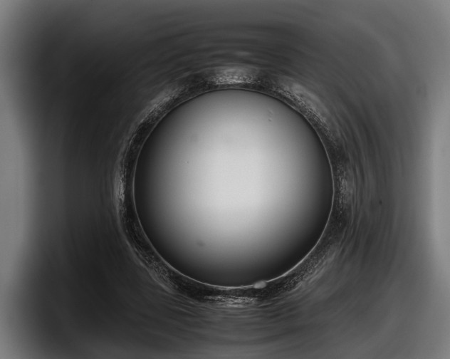 X0000097820539200803201439