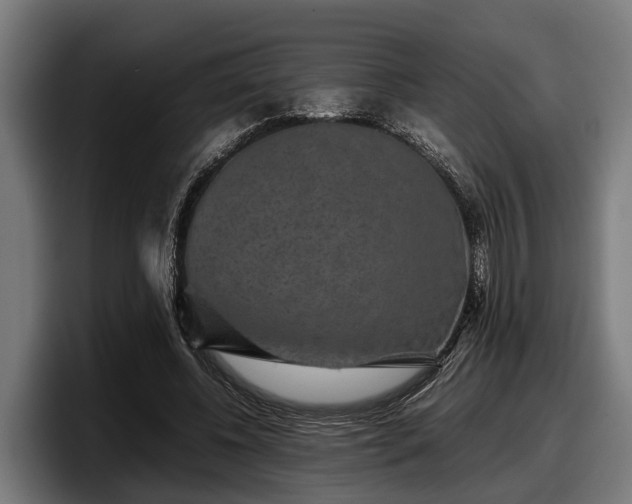 X0000097820540200803201439