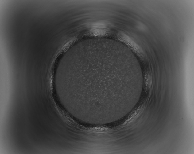 X0000097820542200803201439