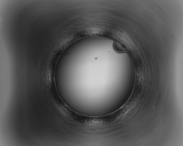 X0000097820546200803201439