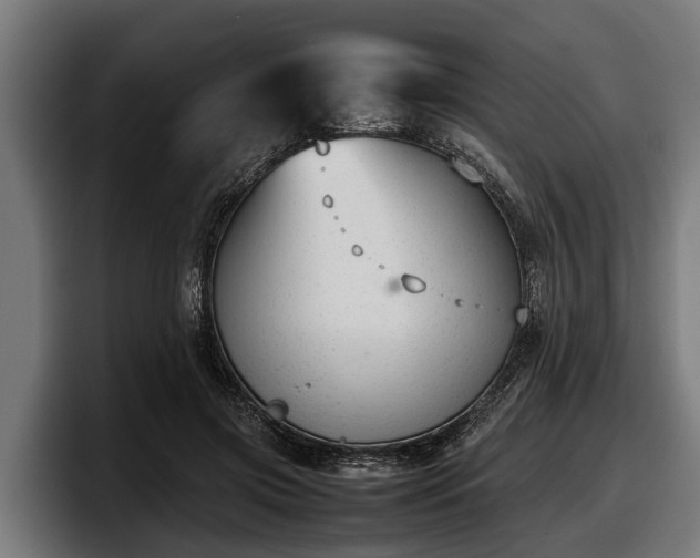 X0000097820549200803201439