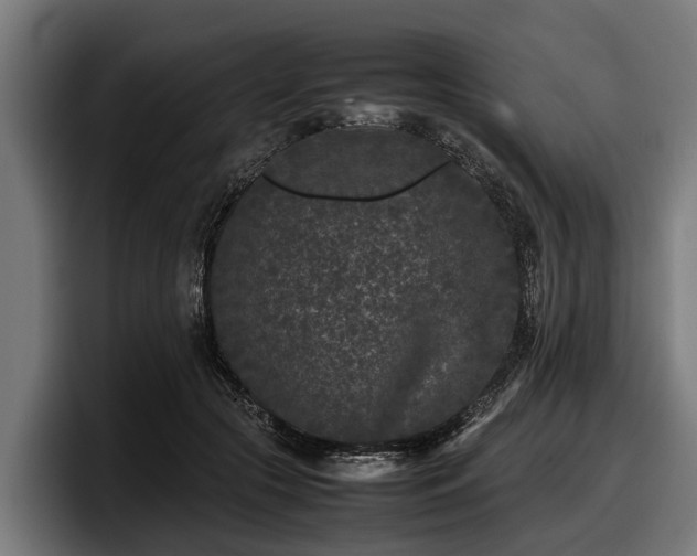 X0000097820553200803201439