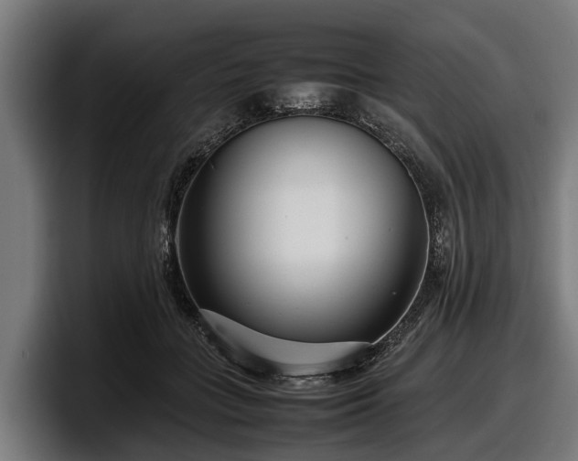 X0000097820555200803201440