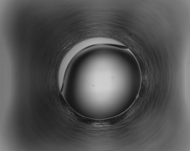 X0000097820556200803201440