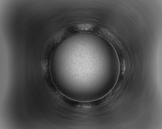 X0000097820559200803201440