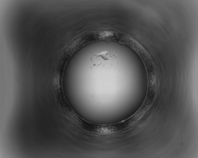 X0000097820565200803201440