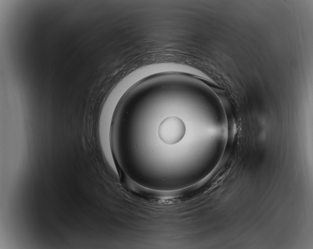 X0000097820566200803201440