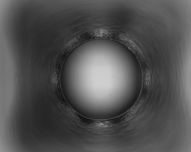 X0000097820569200803201440