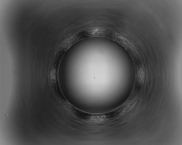 X0000097820571200803201440