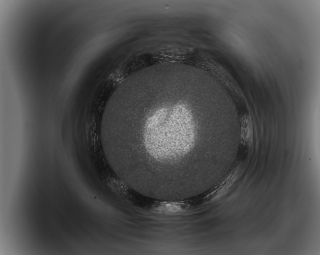 X0000097820573200803201440