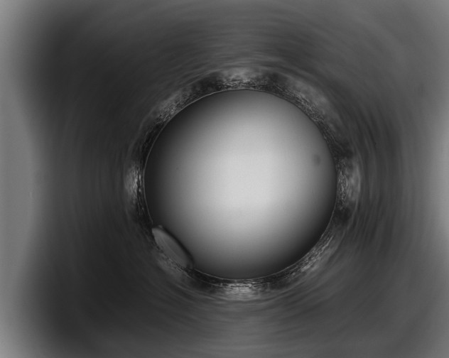 X0000097820574200803201440