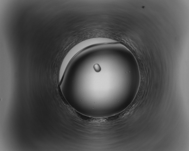 X0000097820576200803201440