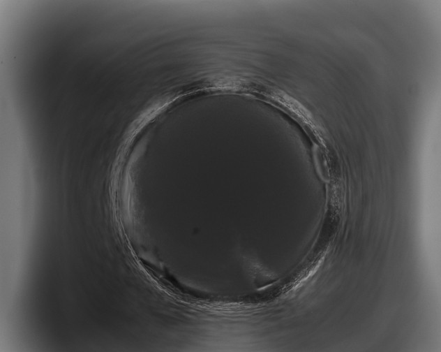 X0000097820577200803201439