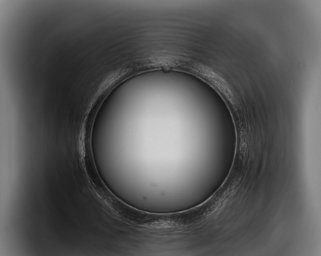 X0000097820578200803201439