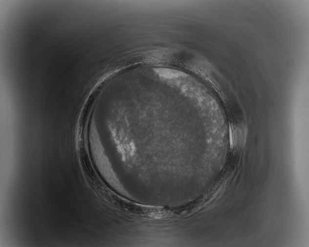 X0000097820579200803201439