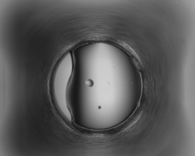 X0000097820581200803201439