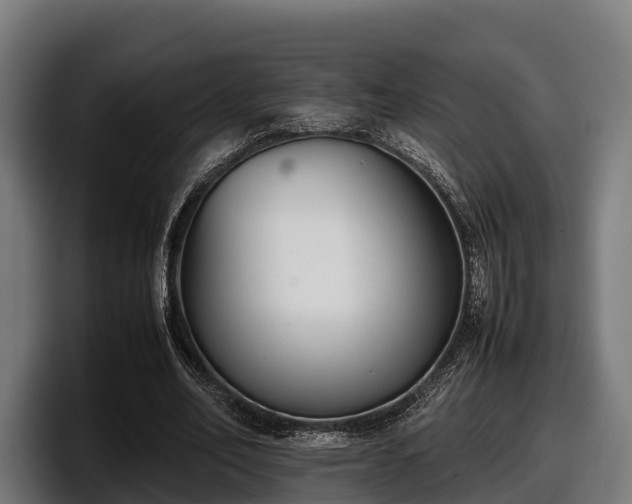 X0000097820582200803201439