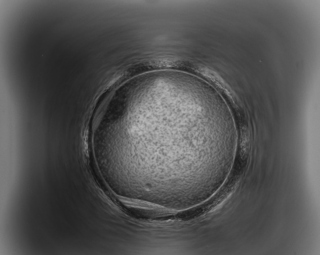 X0000097820585200803201439