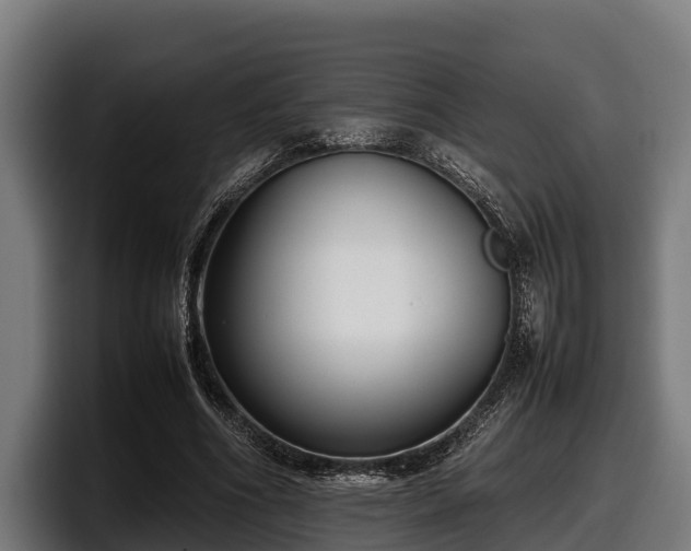 X0000097820586200803201439