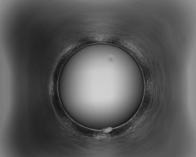 X0000097820587200803201439