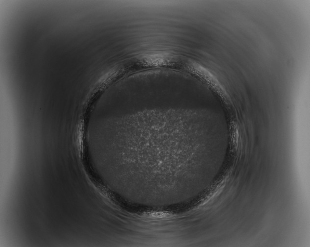 X0000097820590200803201439