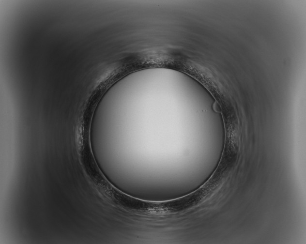 X0000097820591200803201439