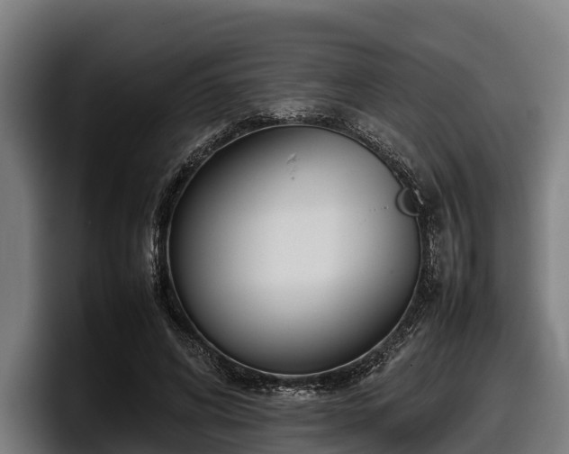 X0000097820592200803201439