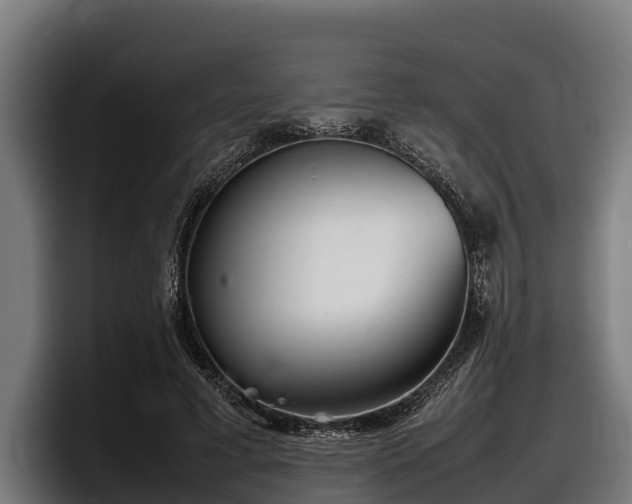 X0000097820593200803201439