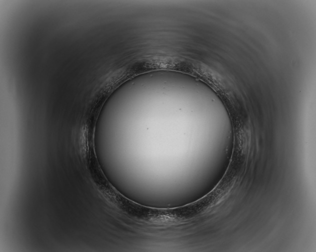 X0000097820594200803201439