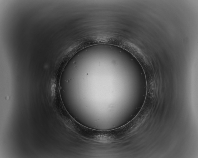 X0000097820596200803201439