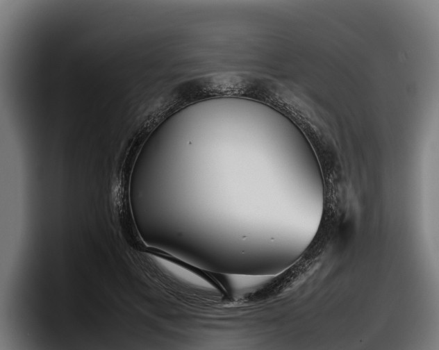 X0000097820597200803201439