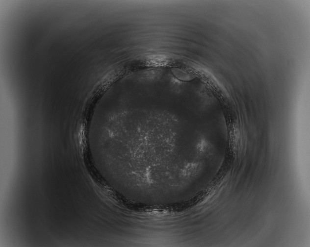 X0000097820598200803201439