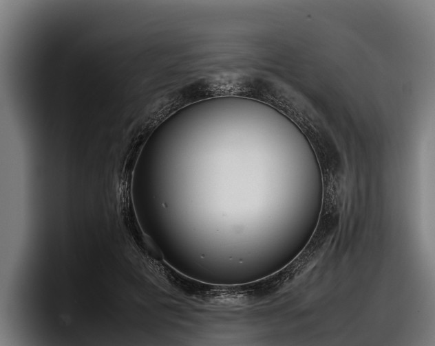 X0000097820601200803201439