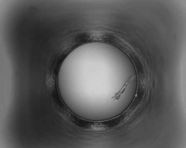 X0000097820603200803201439