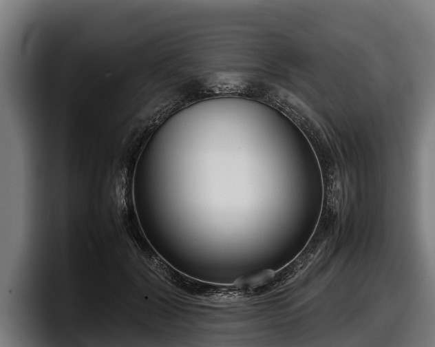 X0000097820604200803201439