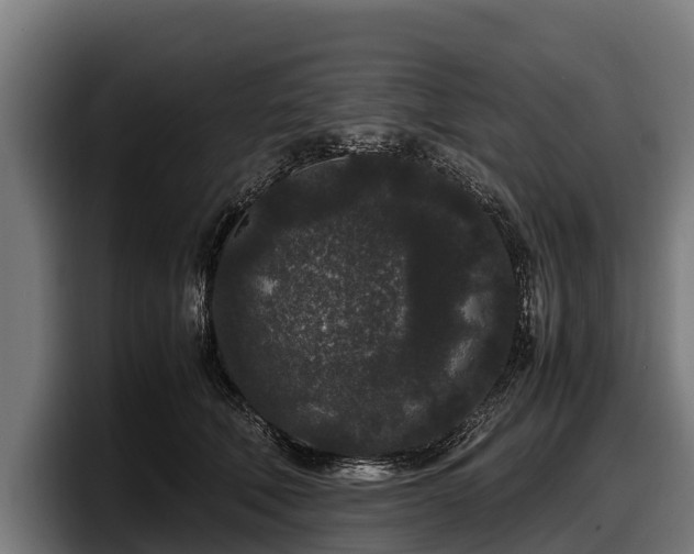 X0000097820610200803201439