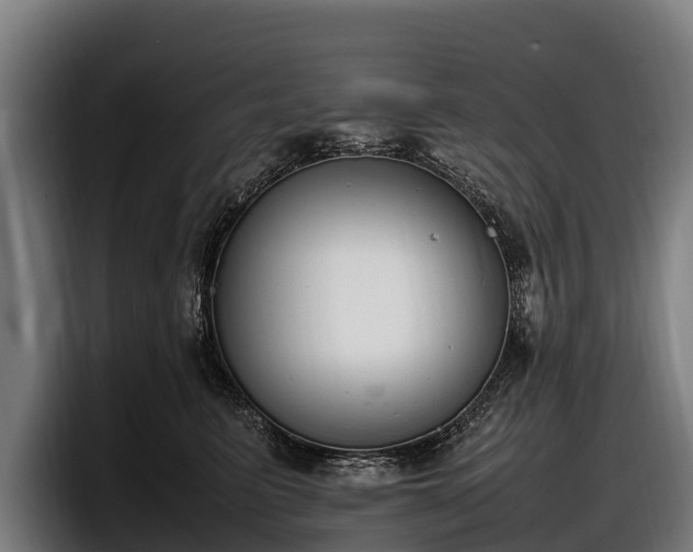 X0000097820615200803201439