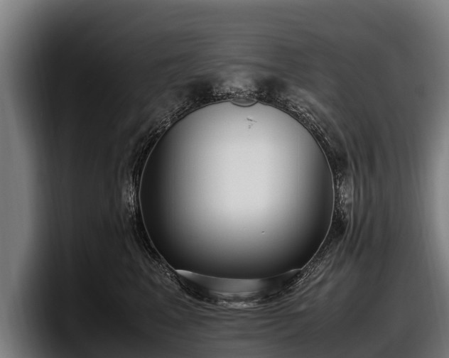 X0000097820617200803201439