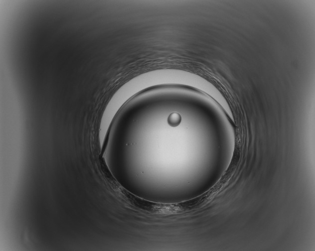 X0000097820621200803201439