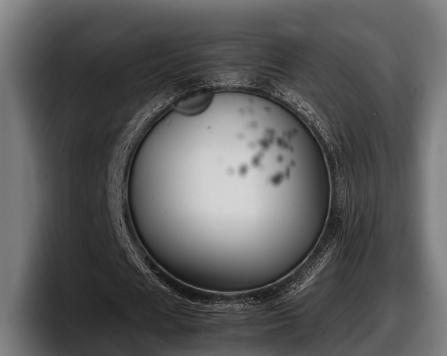 X0000097820625200803201438