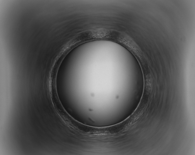 X0000097820626200803201438