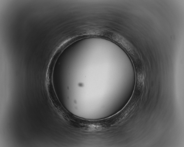 X0000097820628200803201438