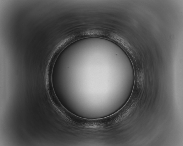 X0000097820629200803201438