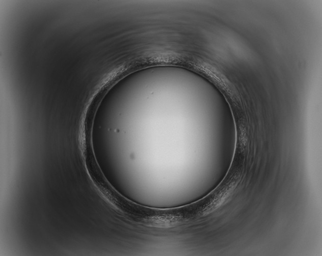 X0000097820630200803201438